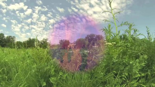 SpaRitual Spring Rhythm Collection - image 1 from the video