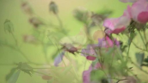 SpaRitual Spring Rhythm Collection - image 3 from the video