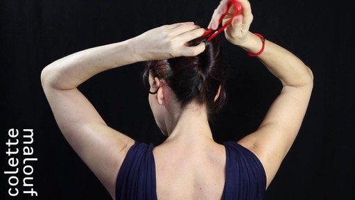 Colette Malouf M Pin How-To: Long Hair French Twist - image 6 from the video