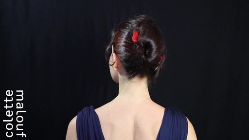 Colette Malouf M Pin How-To: Long Hair French Twist - image 9 from the video