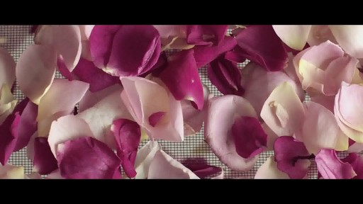 Jurlique 30th Anniversary Precious Rose - image 5 from the video