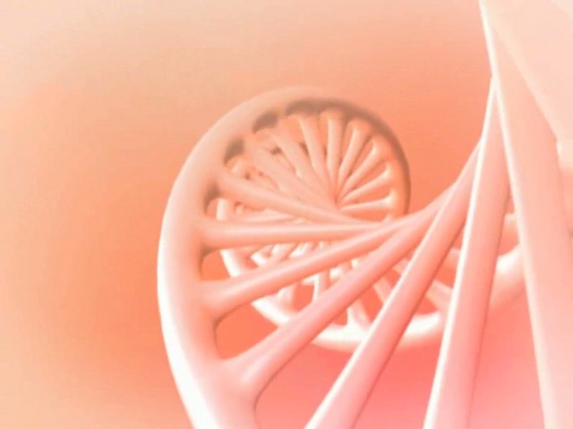 Lancaster 365 Cellular Elixir DNA Complex  - image 5 from the video