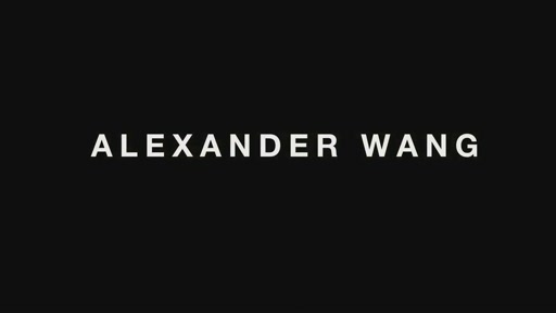 Alexander Wang FW11 - image 1 from the video