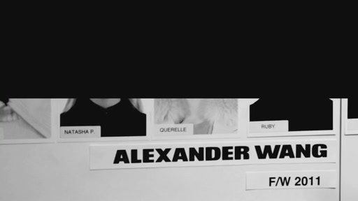 Alexander Wang FW11 - image 3 from the video