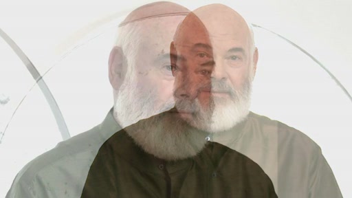 Dr. Andrew Weil for Origins Mega-Mushroom Skin Relief Advanced Face Serum  - image 2 from the video