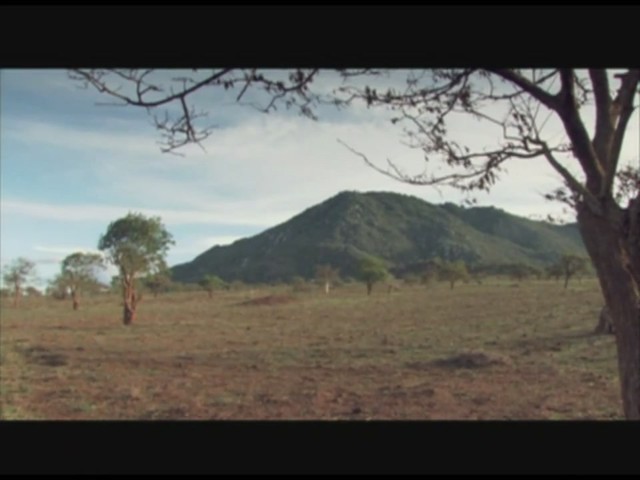 Sue Devitt Eye Intensifier Pencil:  Travels In Africa  - image 3 from the video