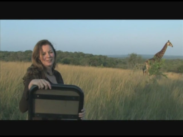 Sue Devitt Eye Intensifier Pencil:  Travels In Africa  - image 5 from the video