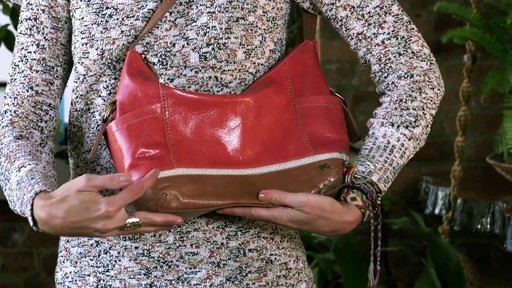 The Sak Kendra Hobo - image 3 from the video