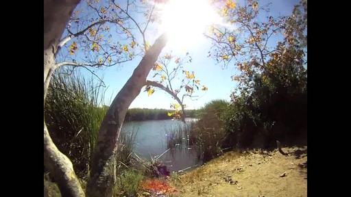 Eagle Creek - Buena Vista Volunteering - image 9 from the video