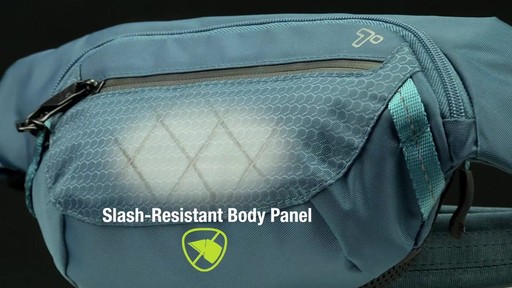 Travelon Anti-Theft Active Waist Pack - on eBags.com - image 3 from the video