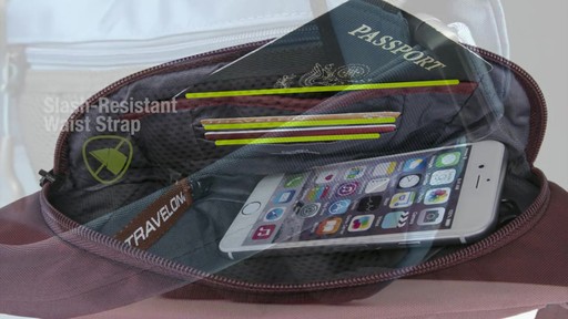 Travelon Anti-Theft Active Waist Pack - on eBags.com - image 7 from the video