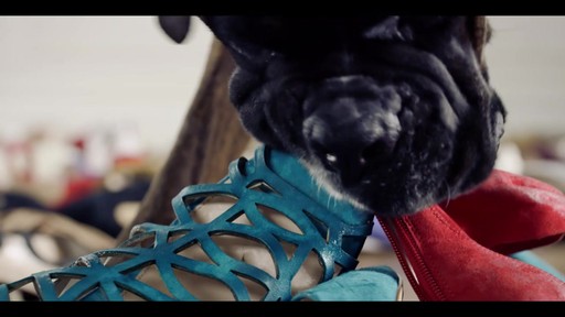 Vince Camuto - image 7 from the video