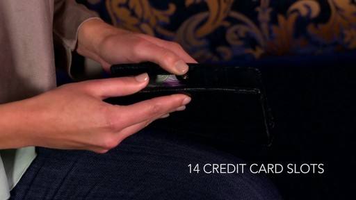 The Sak Sanibel Trifold Wallet - image 6 from the video
