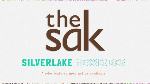 The Sak - Silverlake Messenger - image 10 from the video
