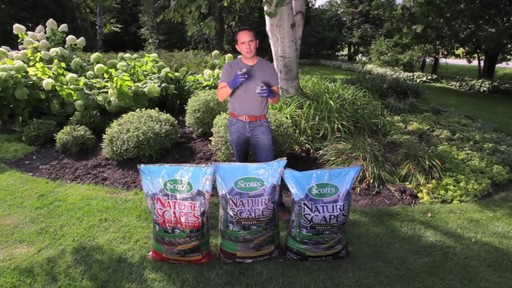 Mulching Your Garden with Frankie Flowers - image 1 from the video