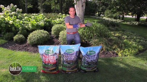 Mulching Your Garden with Frankie Flowers - image 4 from the video