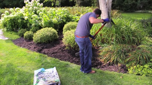Mulching Your Garden with Frankie Flowers - image 5 from the video