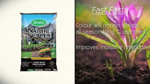 Mulching Your Garden with Frankie Flowers - image 8 from the video