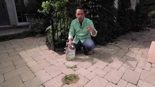 Controlling Weeds on Driveways with Frankie Flowers - image 2 from the video