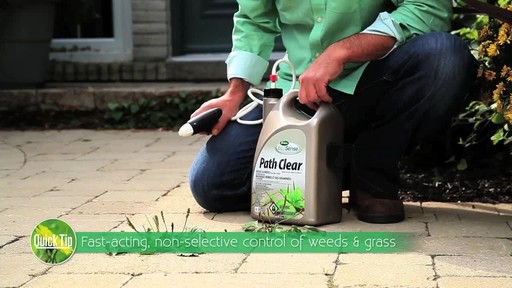 Controlling Weeds on Driveways with Frankie Flowers - image 3 from the video