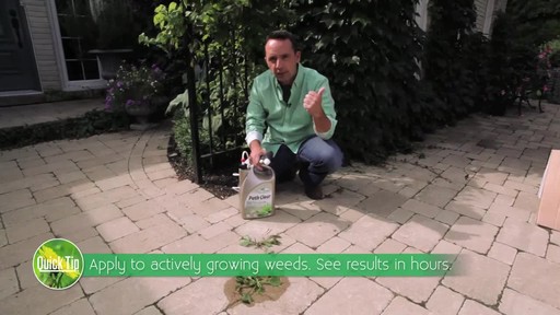 Controlling Weeds on Driveways with Frankie Flowers - image 4 from the video