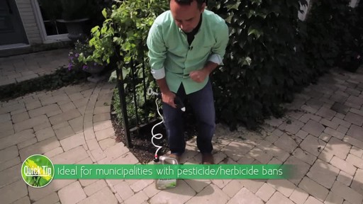 Controlling Weeds on Driveways with Frankie Flowers - image 7 from the video