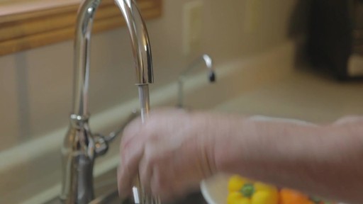 Danze Lisa Pull-Down Kitchen Faucet - Ron's Testimonial - image 1 from the video