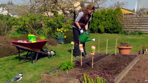 Starting a Vegetable Garden - Gardening Tips - image 10 from the video