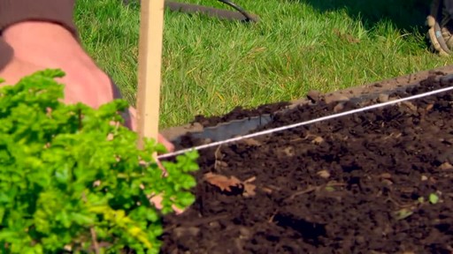 Starting a Vegetable Garden - Gardening Tips - image 4 from the video