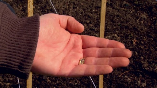 Starting a Vegetable Garden - Gardening Tips - image 6 from the video
