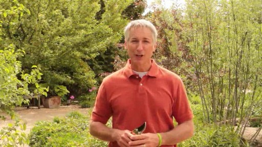 Pruning - How, Why and When to Prune - image 10 from the video