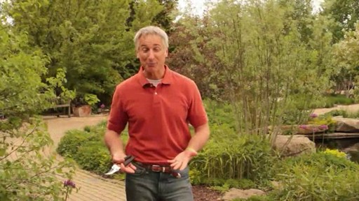 Pruning - How, Why and When to Prune - image 2 from the video