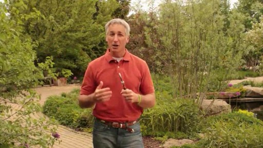 Pruning - How, Why and When to Prune - image 4 from the video