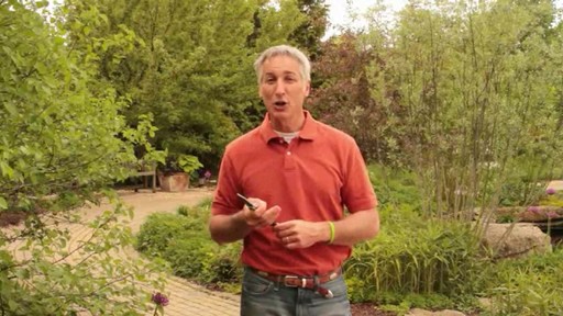 Pruning - How, Why and When to Prune - image 6 from the video
