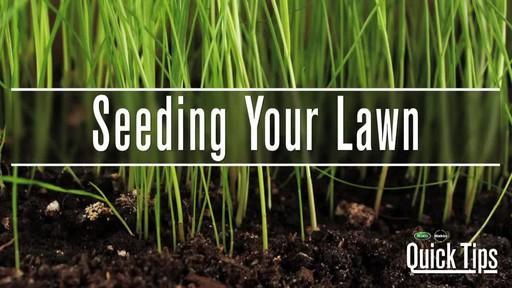Seeding Your Lawn - image 1 from the video