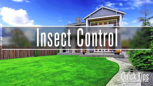Insect Control with Frankie Flowers - image 1 from the video