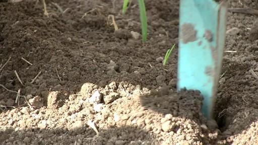 Building Great Soil - image 3 from the video
