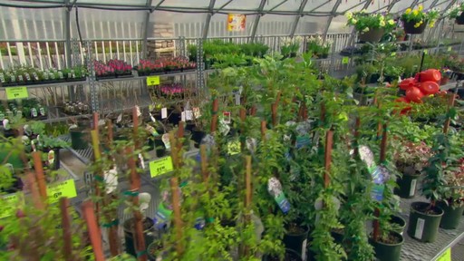 Canadian Tire Garden Centre - image 5 from the video