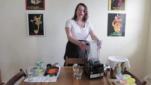 Vitamix PRO200 Electric Blender- Barbara Ann's Testimonial - image 4 from the video