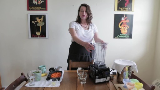 Vitamix PRO200 Electric Blender- Barbara Ann's Testimonial - image 5 from the video
