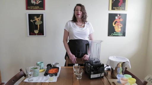 Vitamix PRO200 Electric Blender- Barbara Ann's Testimonial - image 9 from the video