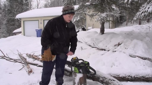 Greenworks 80V Cordless Chainsaw - Arlene's Testimonial - image 3 from the video