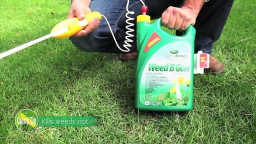 Controlling Lawn Weeds with Frankie Flowers - image 3 from the video