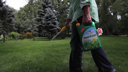 Controlling Lawn Weeds with Frankie Flowers - image 6 from the video