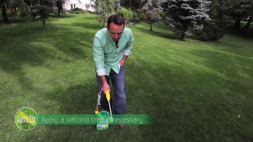 Controlling Lawn Weeds with Frankie Flowers - image 7 from the video