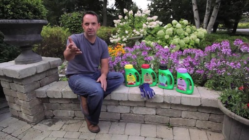 Feeding Your Plants with Frankie Flowers - image 1 from the video
