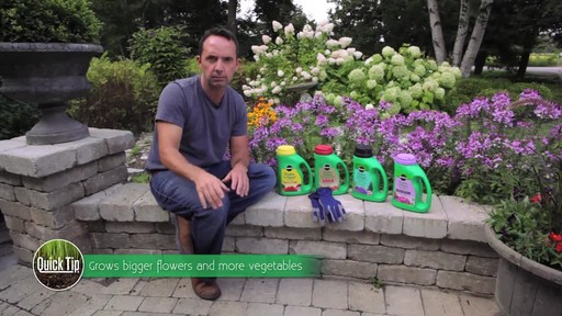 Feeding Your Plants with Frankie Flowers - image 2 from the video