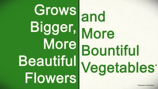 Feeding Your Plants with Frankie Flowers - image 9 from the video