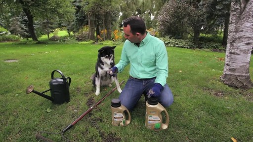 Repairing Lawn Patches with Frankie Flowers - image 1 from the video