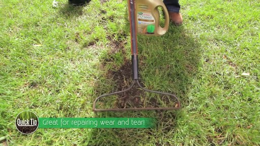 Repairing Lawn Patches with Frankie Flowers - image 3 from the video